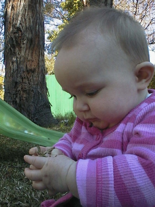 emilywithleaf.jpg