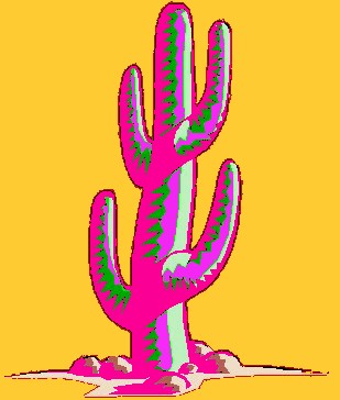 pinkcactus.jpg